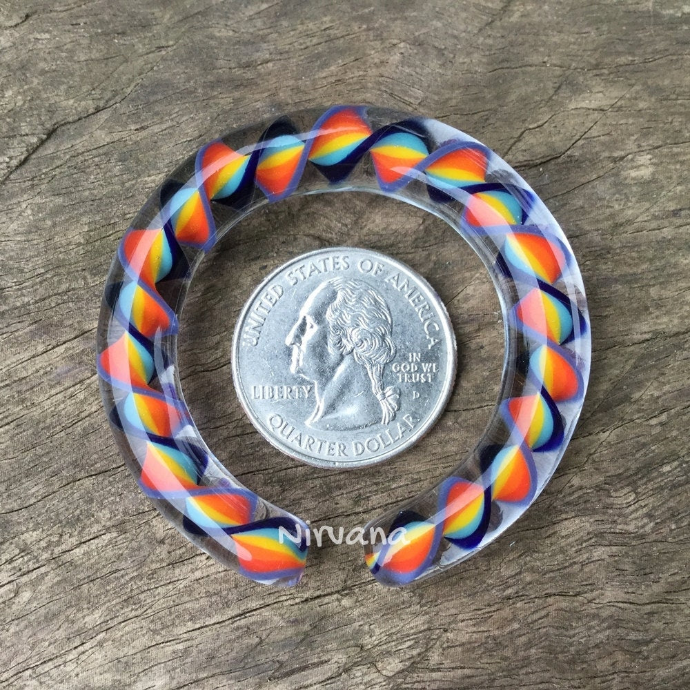 1 Pair (2 Pieces) Rainbow Encased Twist Hoop Gauges