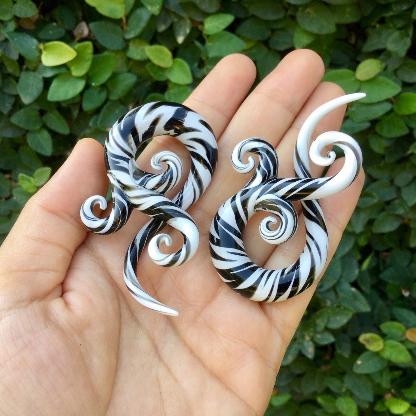 1 Pair (2 Pieces) Black & White Free Style Bonita Spirals Glass