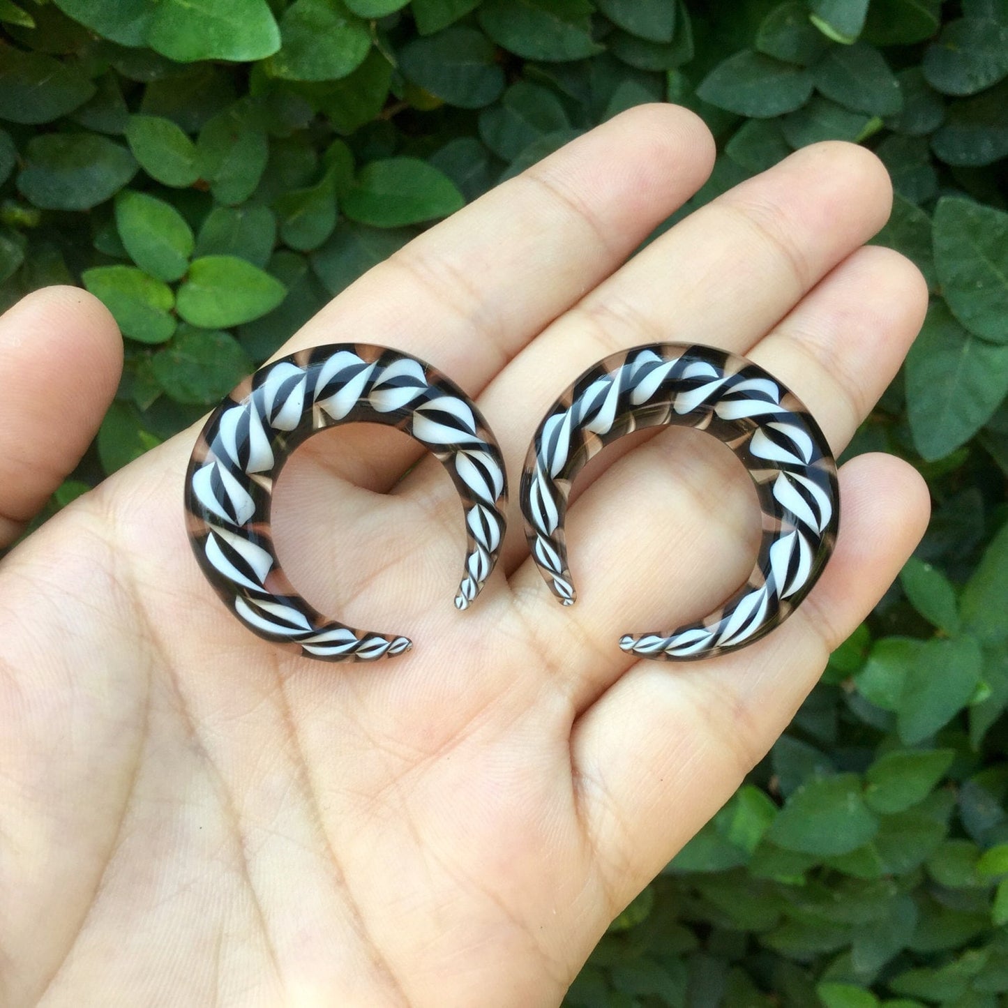 1 Pair (2 Pieces) Glass Black & White Encased Twist Septum Pinchers