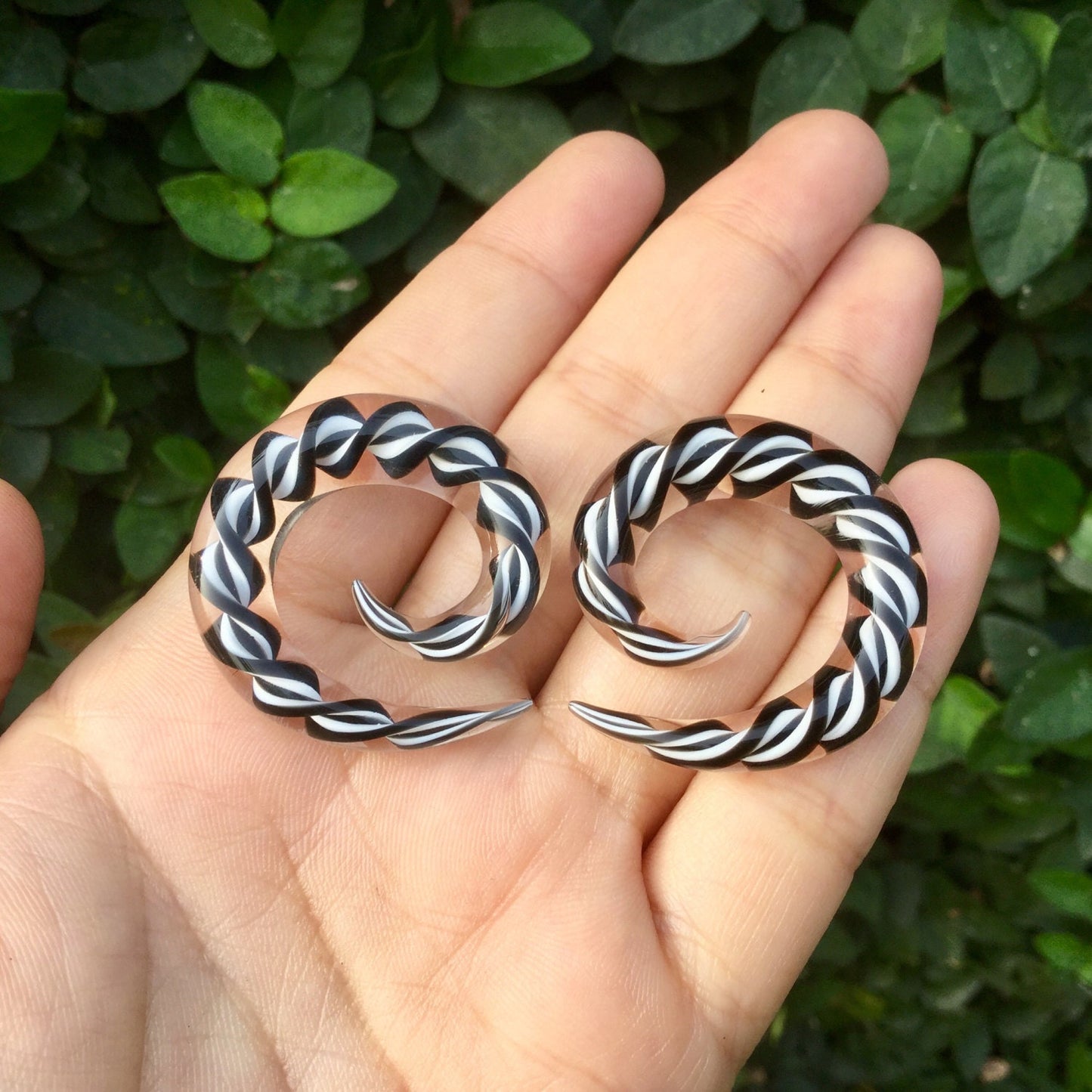 1 Pair (2 Pieces) Encased Twist Black & White Classic Spirals