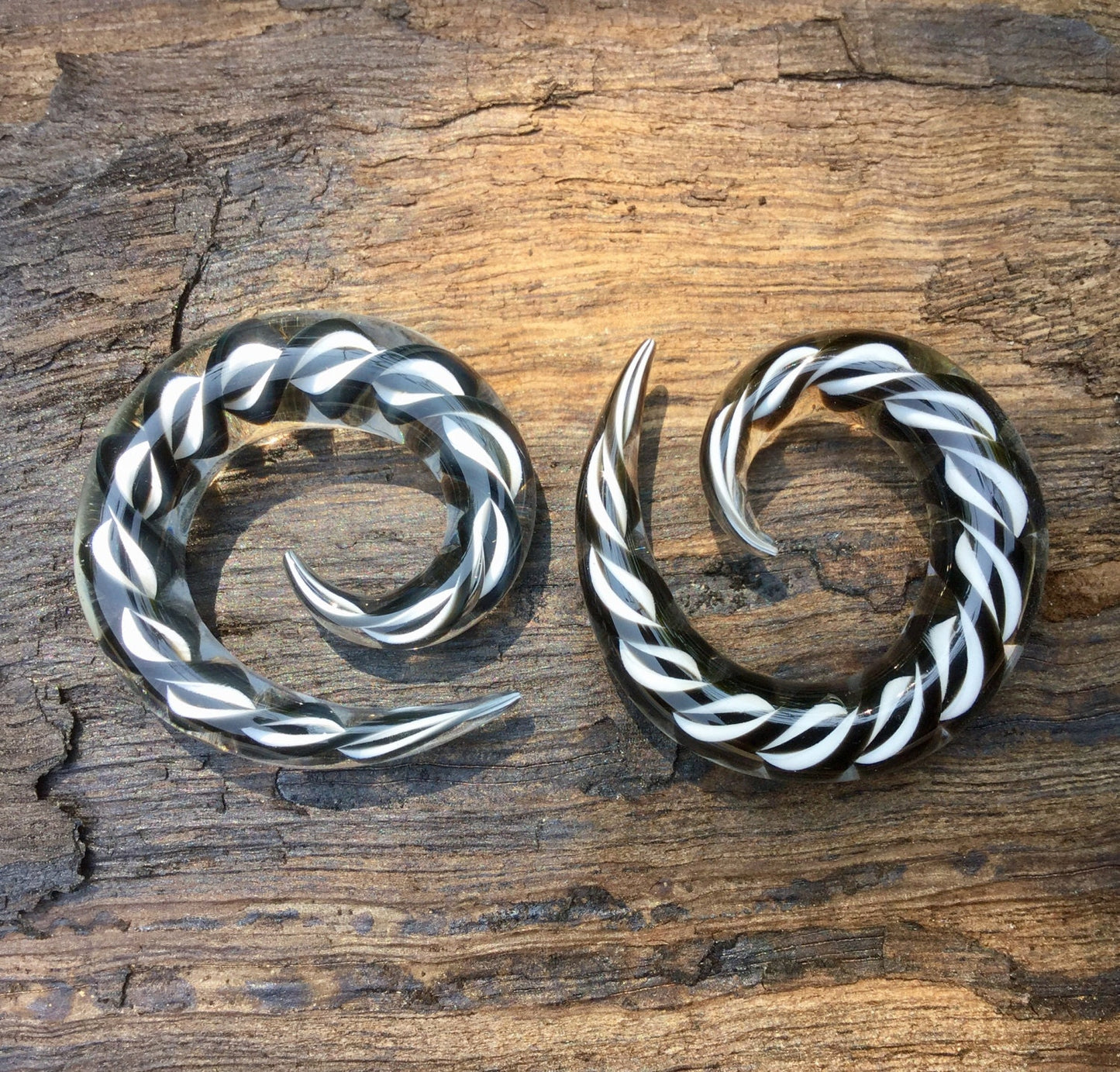 1 Pair (2 Pieces) Encased Twist Black & White Classic Spirals