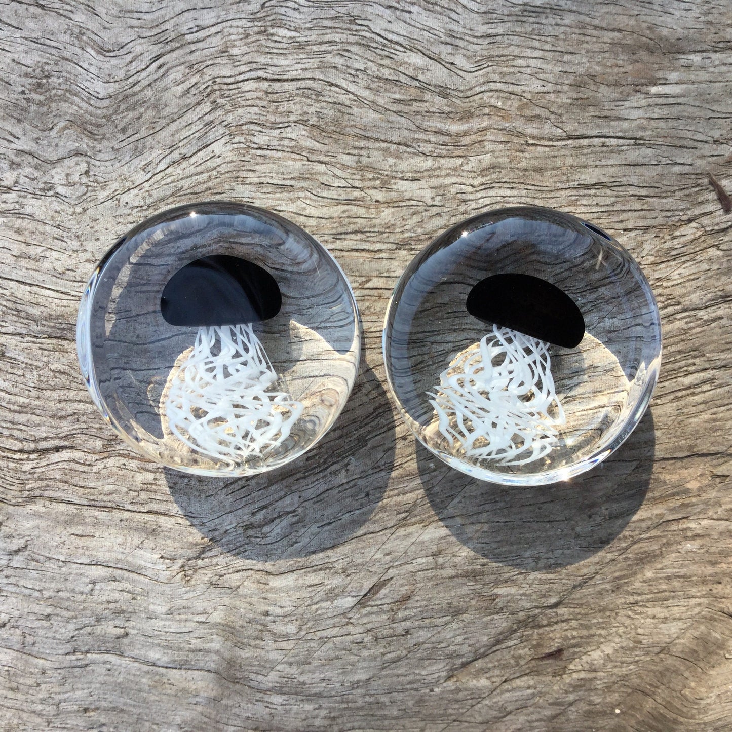 1 Pair (2 Pieces) Pyrex Glass Black Jellyfish Plugs