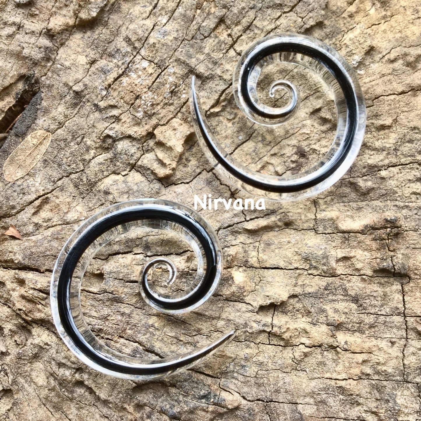 1 Pair (2 Pieces) Encased Black Super Spirals Encased in Clear