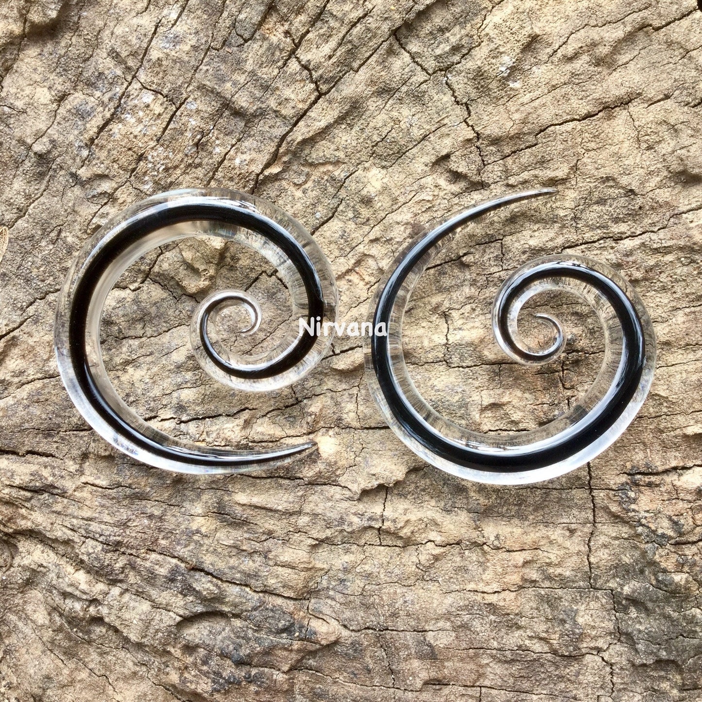 1 Pair (2 Pieces) Encased Black Super Spirals Encased in Clear