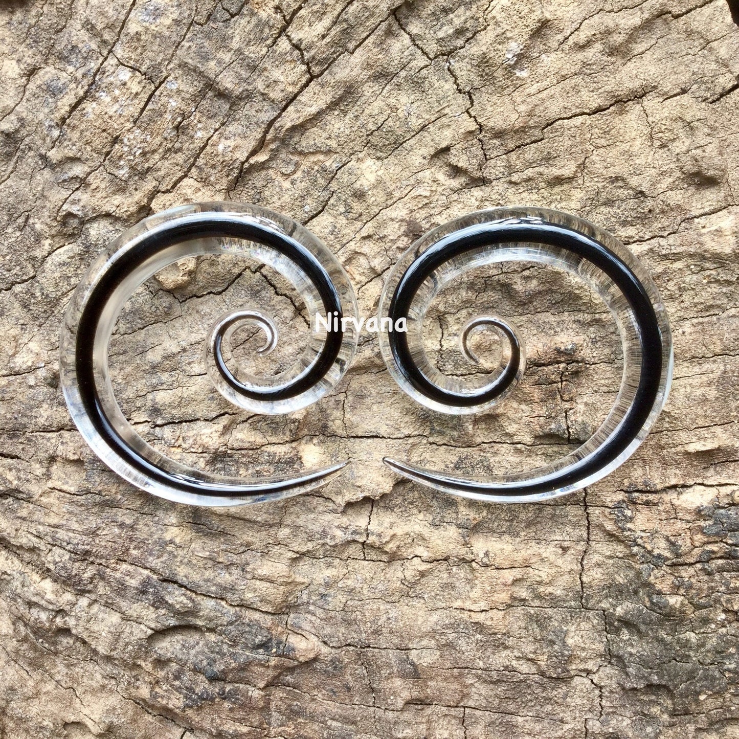 1 Pair (2 Pieces) Encased Black Super Spirals Encased in Clear