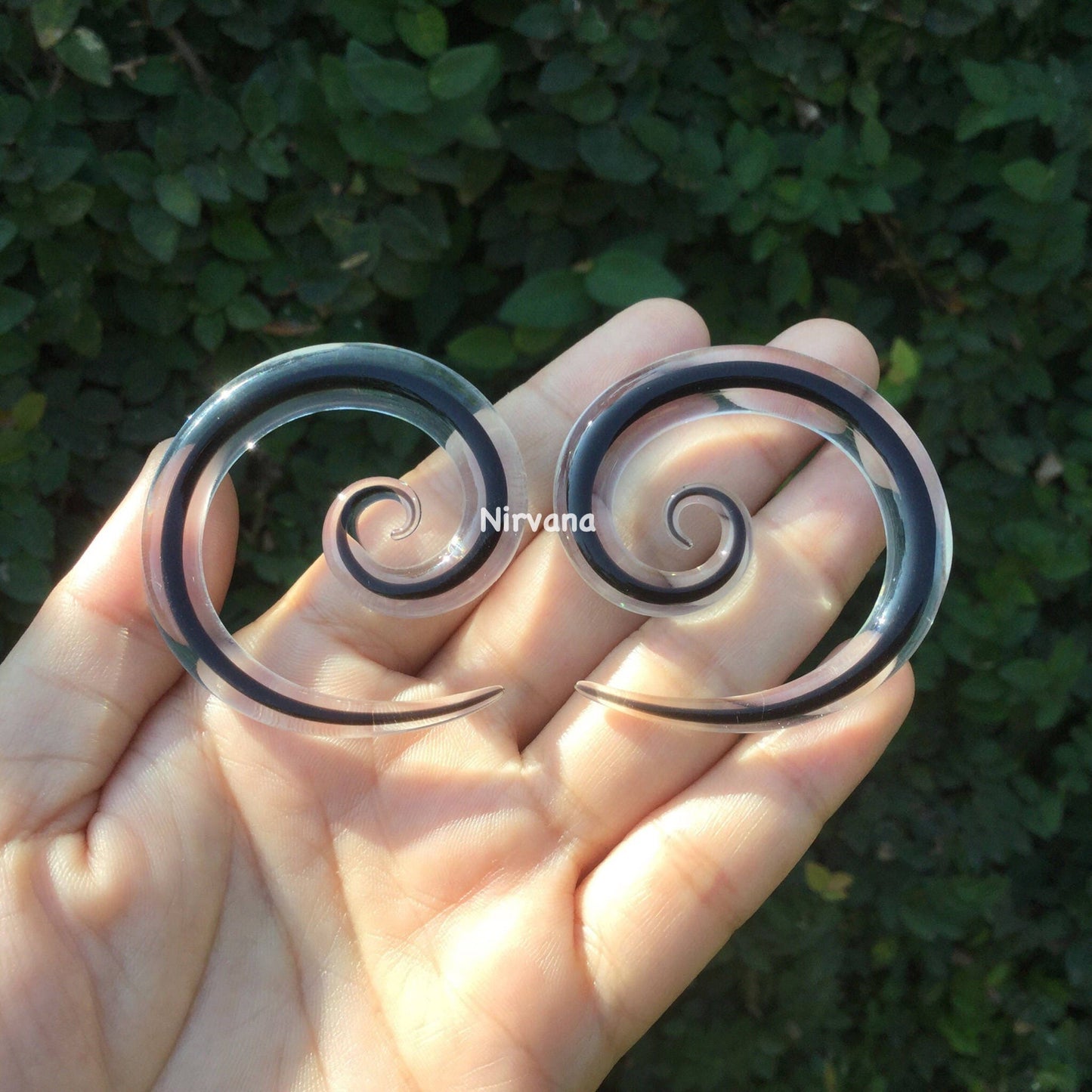 1 Pair (2 Pieces) Encased Black Super Spirals Encased in Clear