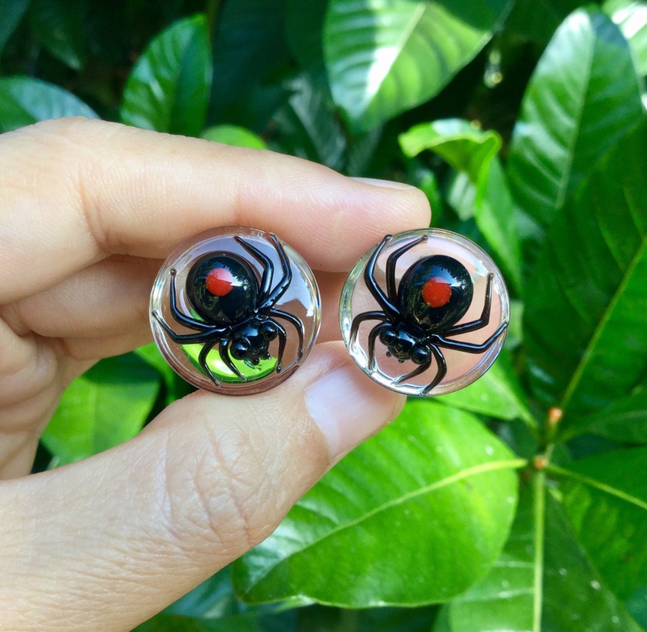 1 Pair (2 Pieces) Black Widow Spider with Dark Red Spots Glass Plugs