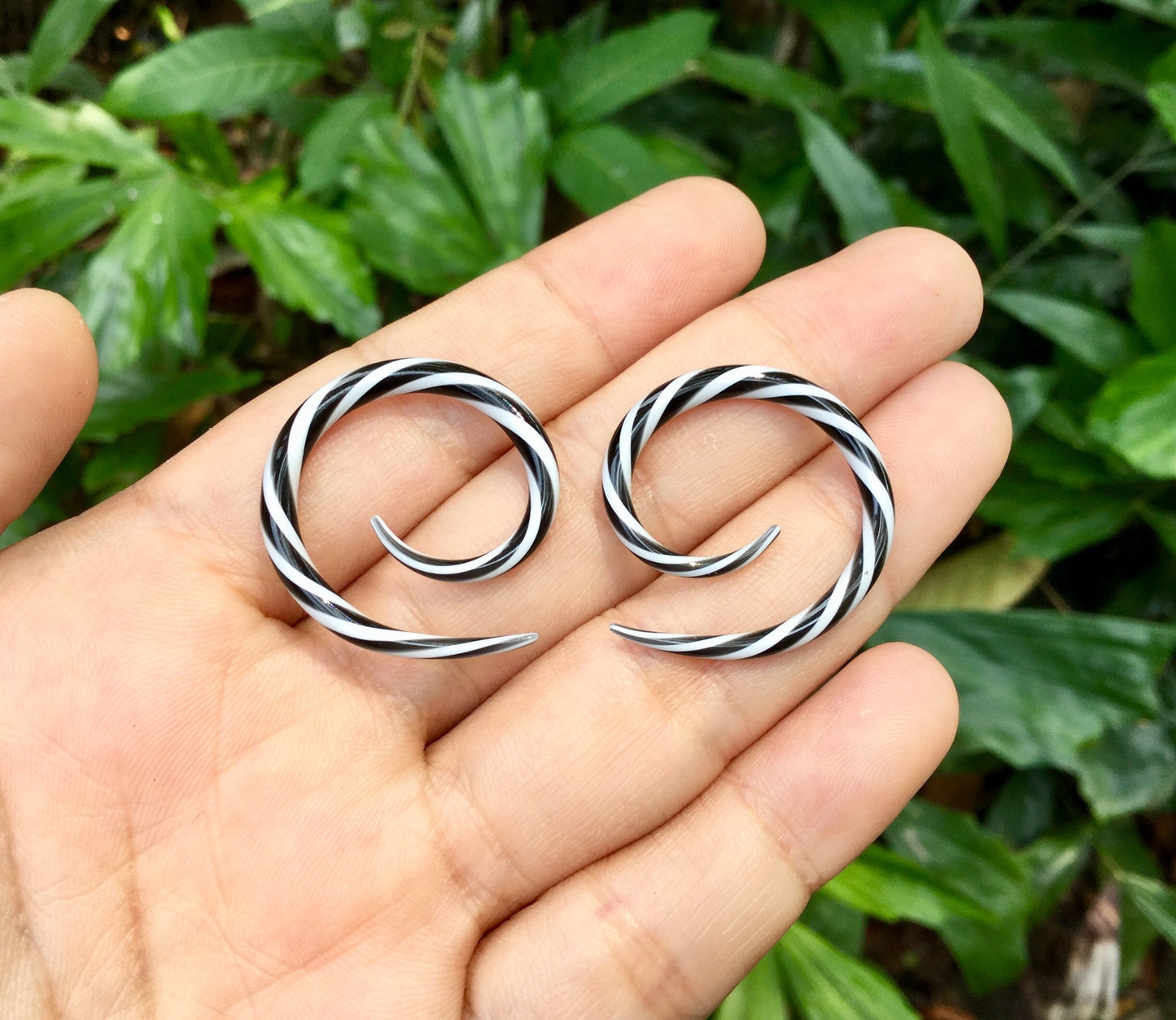 1 Pair (2 Pieces) Black & White Twist Classic Spirals Glass