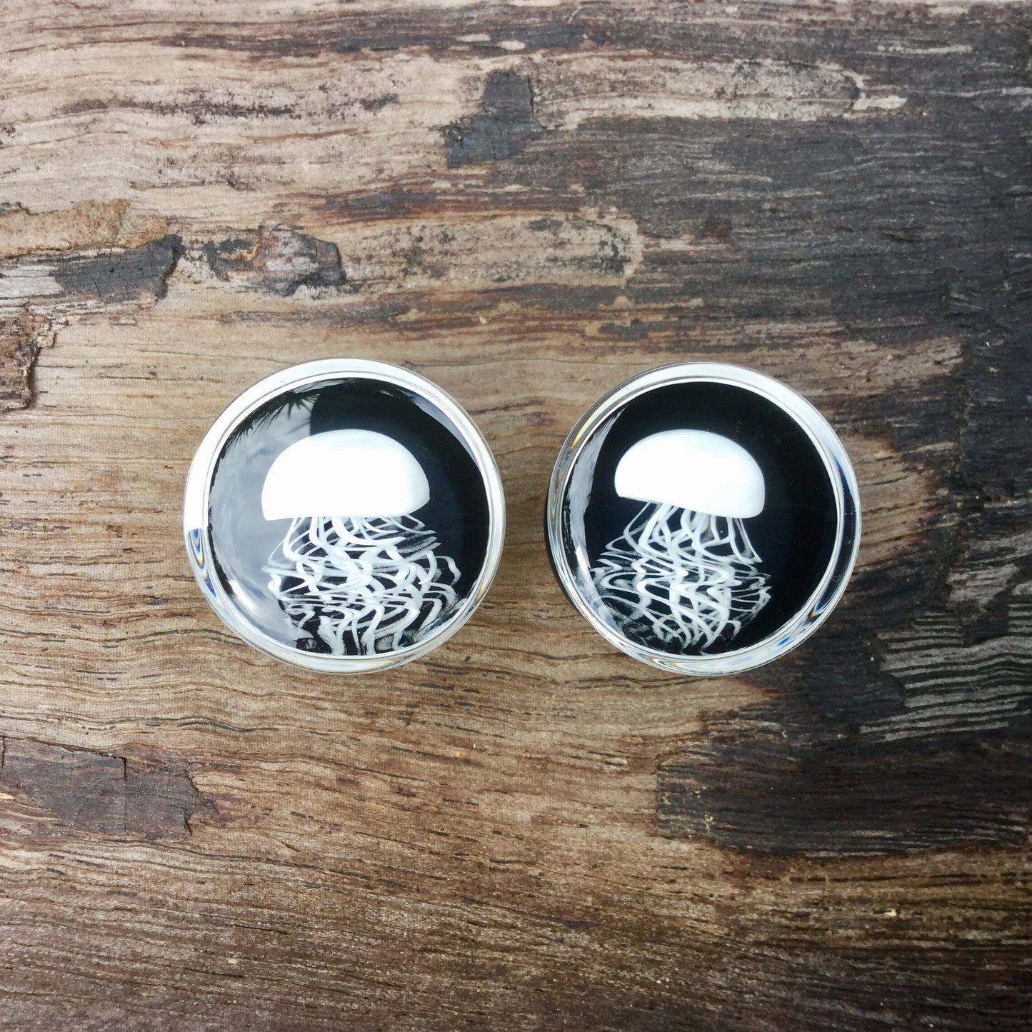 1 Pair (2 Pieces) Pyrex Glass White Jellyfish Plugs on Black Background