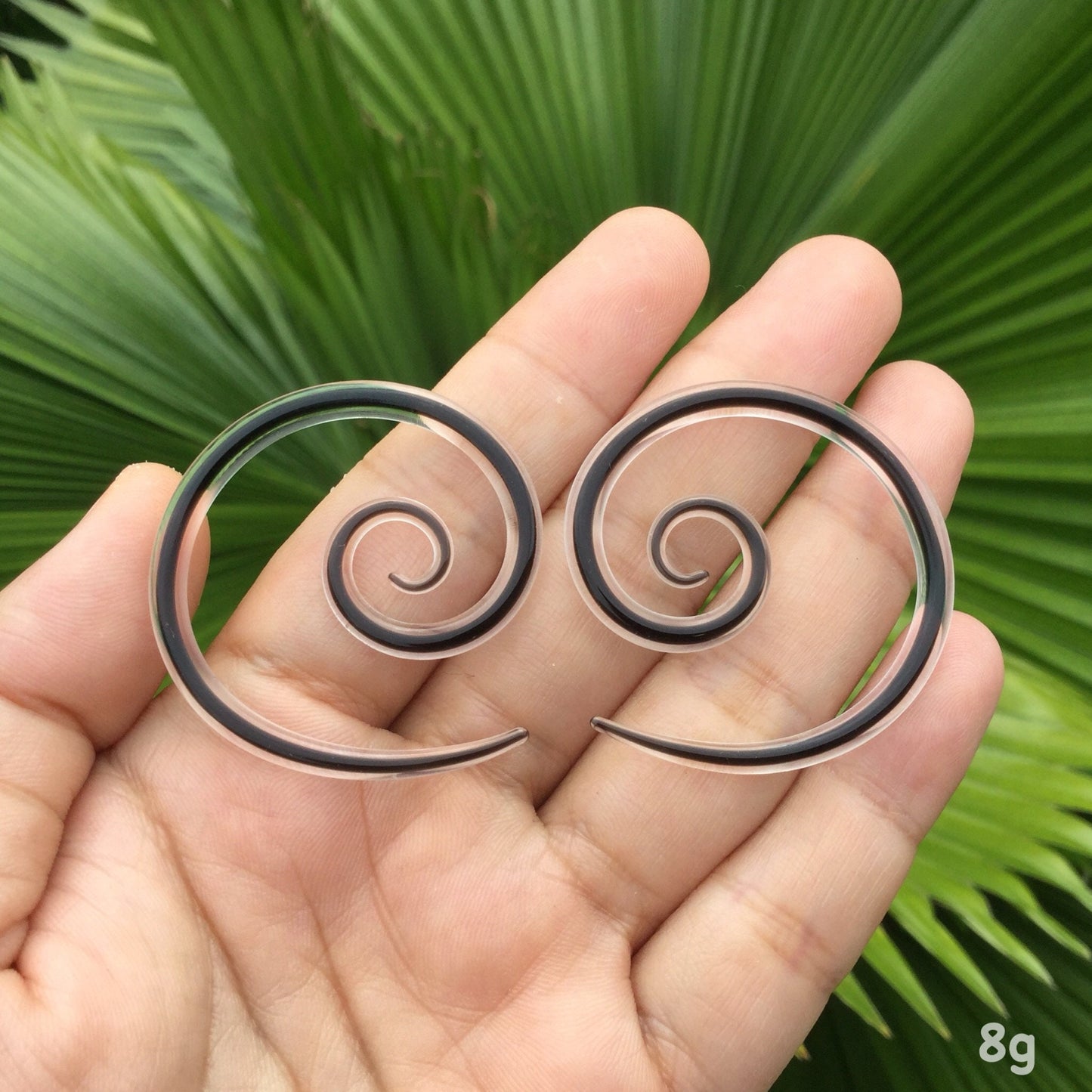 1 Pair (2 Pieces) Encased Black Super Spirals Encased in Clear