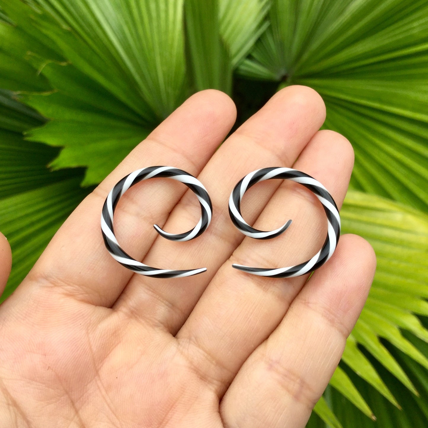 1 Pair (2 Pieces) Black & White Twist Classic Spirals Glass