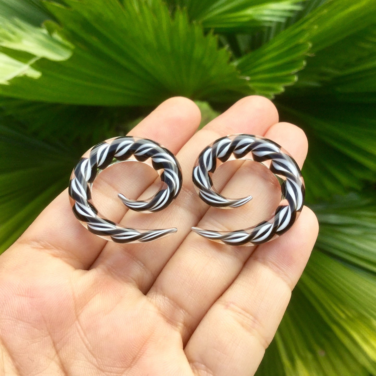 1 Pair (2 Pieces) Encased Twist Black & White Classic Spirals