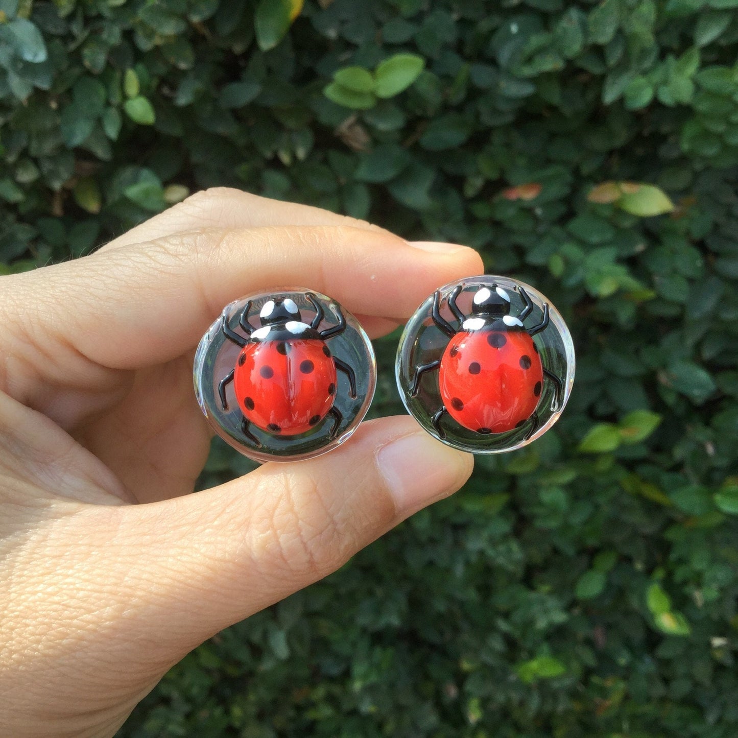 1 Pair (2 Pieces) Classic Red Ladybug Plugs Pyrex Glass