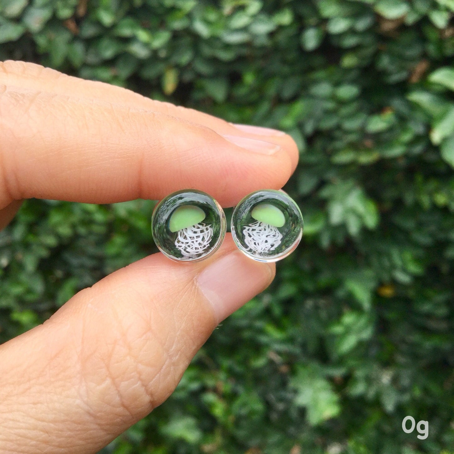 1 Pair (2 Pieces) Jade Pyrex Glass Jellyfish Plugs Clear Background