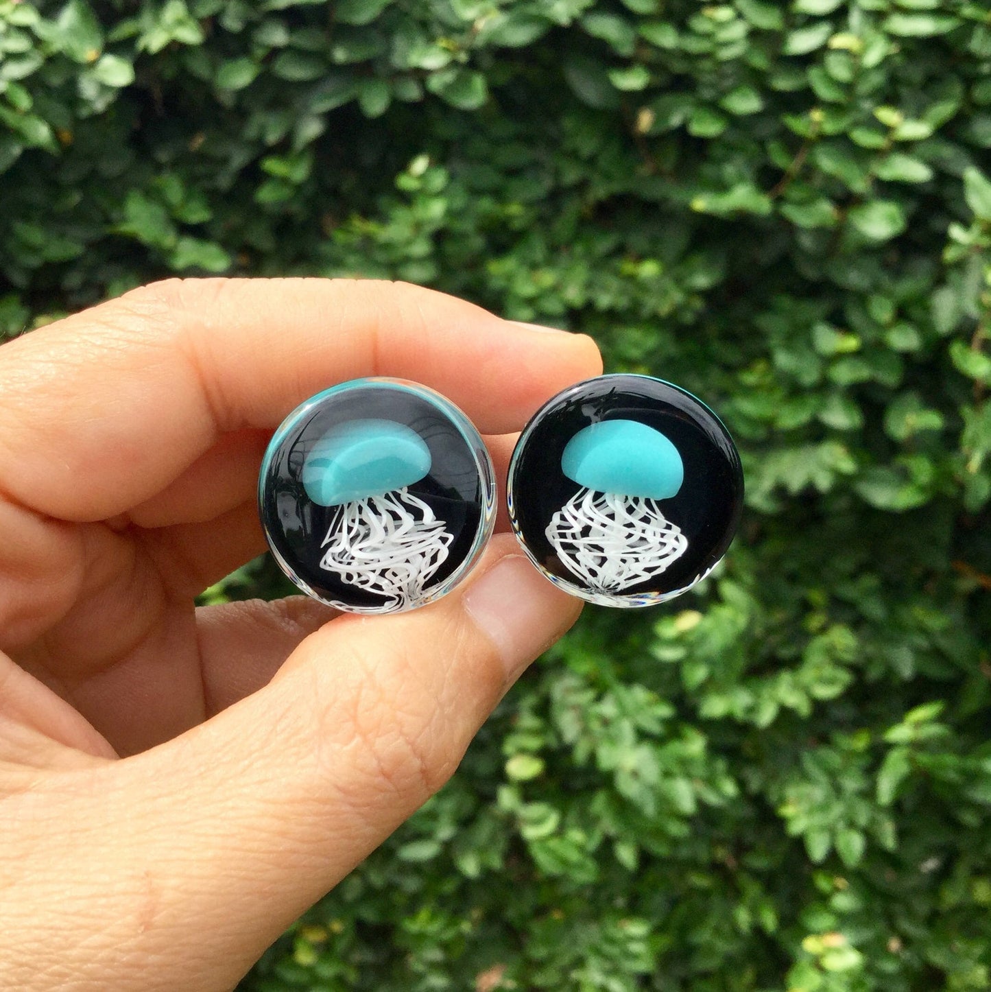 1 Pair (2 Pieces) Aqua Pyrex Glass Jellyfish Plugs Black Background