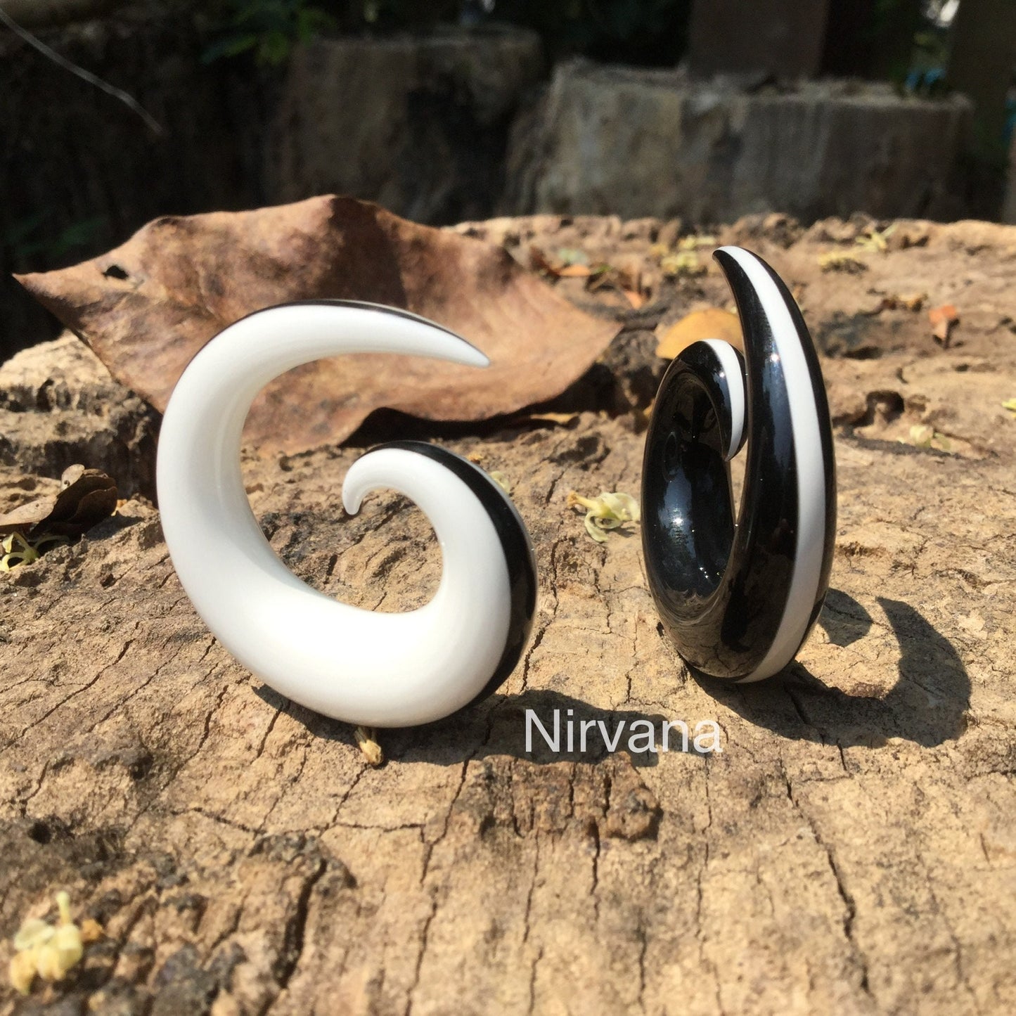 1 Pair (2 Pieces) Black & White Oreo Spirals - 1 Classic and 1 Reverse