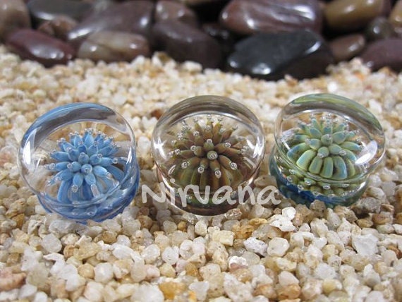1 Pair (2 Pieces) Sea Anemone Plugs Pyrex Glass Gauges