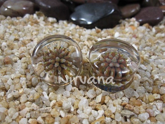 1 Pair (2 Pieces) Sea Anemone Plugs Pyrex Glass Gauges