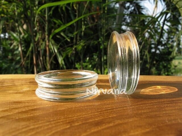 1 Pair (2 Pieces) Clear Crystal Color Pyrex Glass Plugs