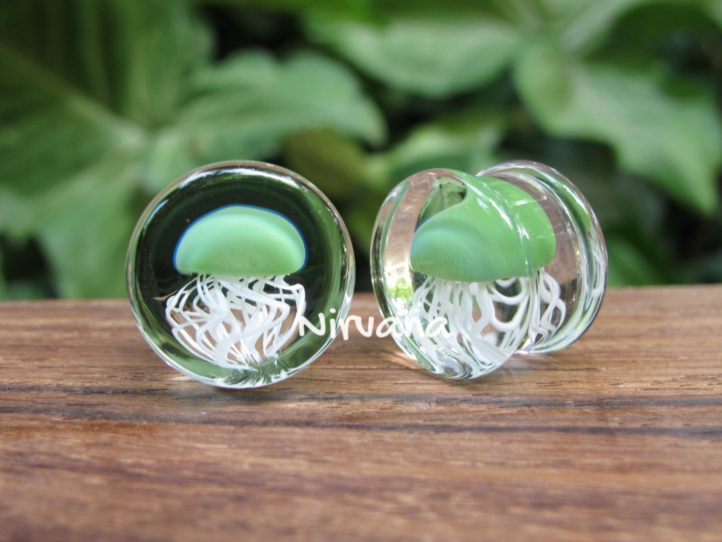 1 Pair (2 Pieces) Jade Pyrex Glass Jellyfish Plugs Clear Background
