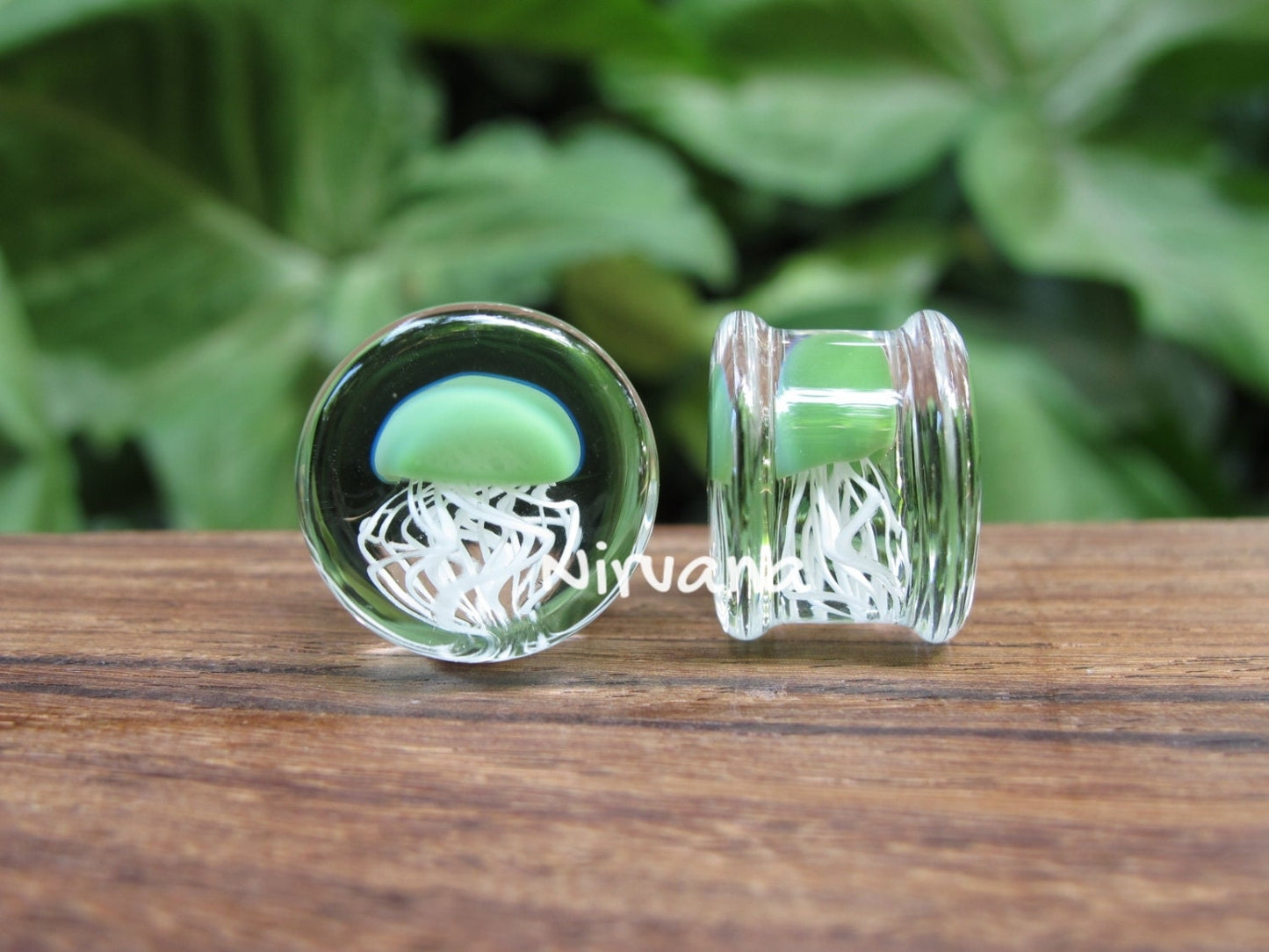 1 Pair (2 Pieces) Jade Pyrex Glass Jellyfish Plugs Clear Background