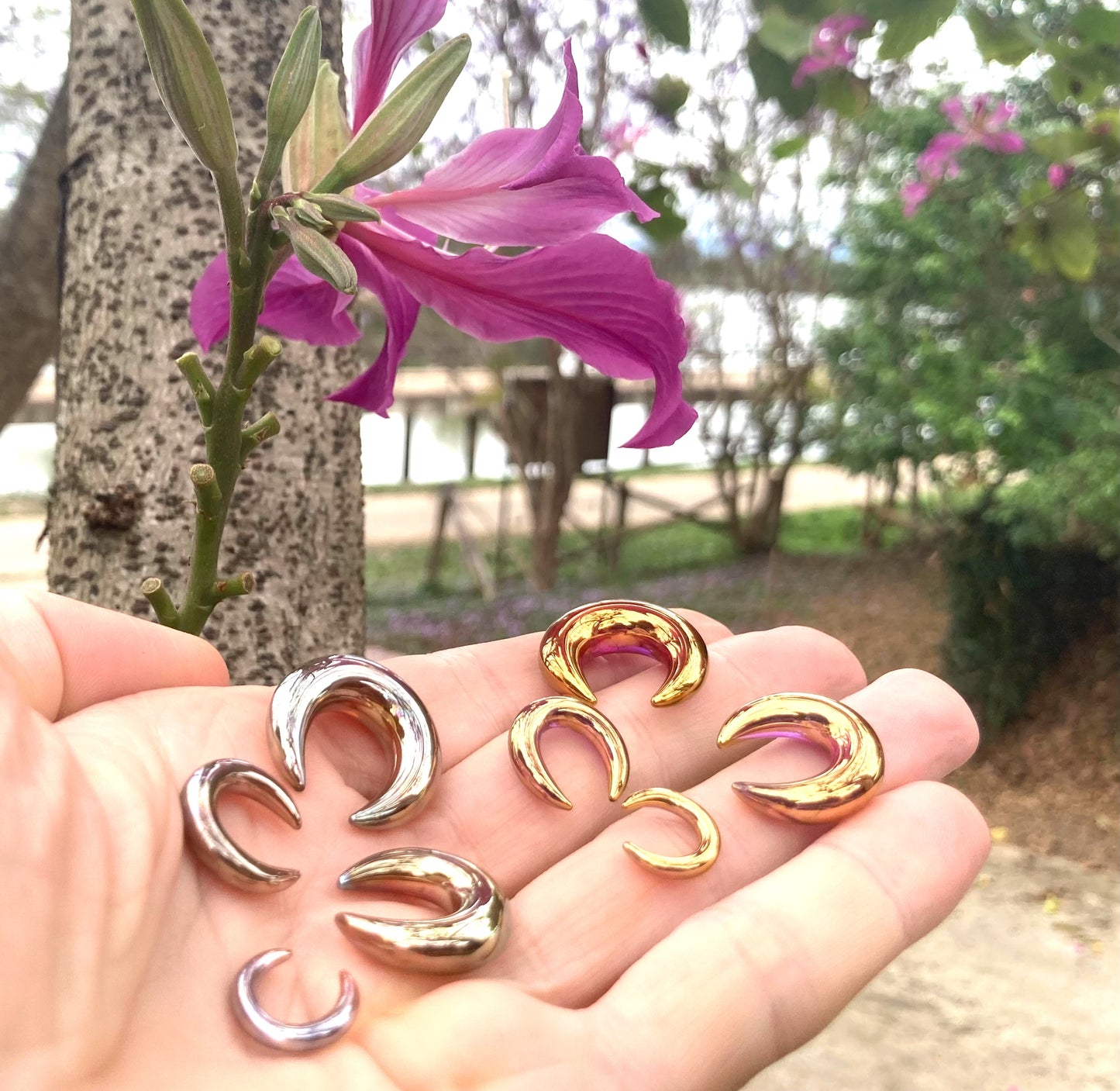 1 Pair (2 Pieces) Silver/Gold or 24K Ruby Gold Glass Septum Pinchers