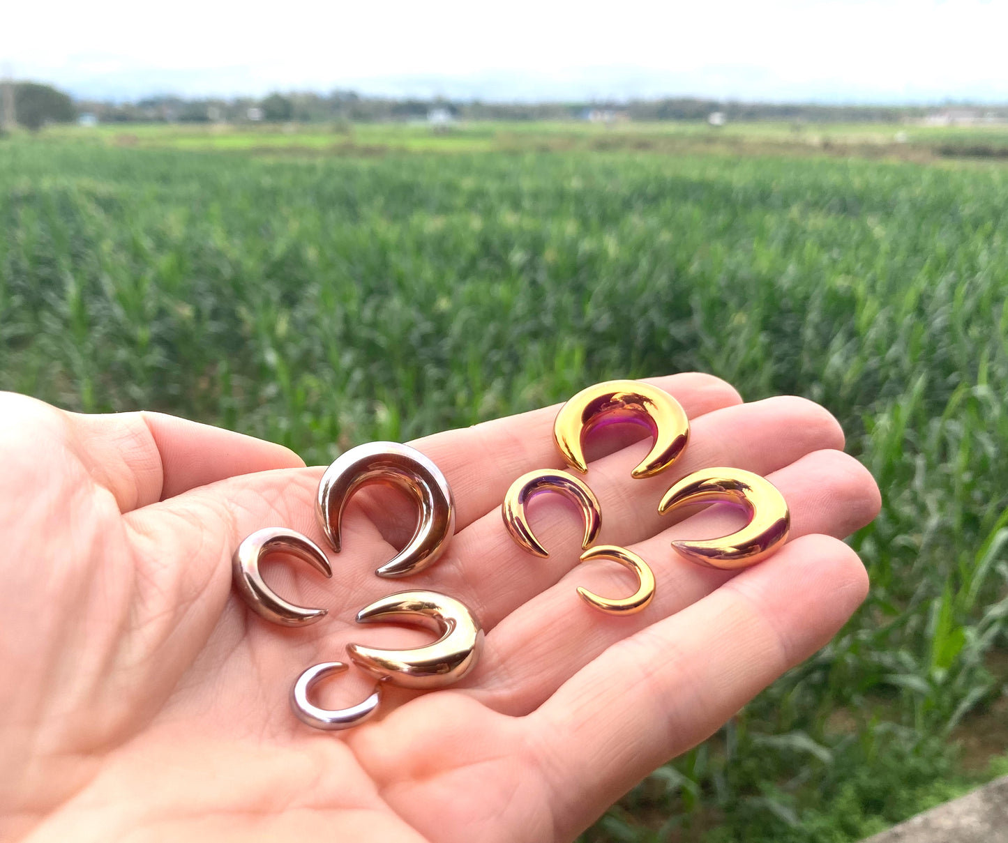 1 Pair (2 Pieces) Silver/Gold or 24K Ruby Gold Glass Septum Pinchers