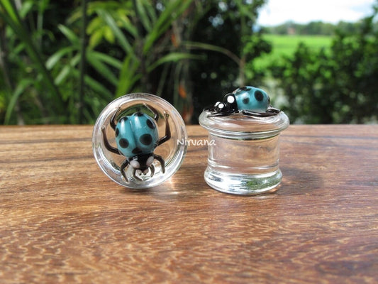 1 Pair (2 Pieces) Blue Ladybug Plugs Pyrex Glass