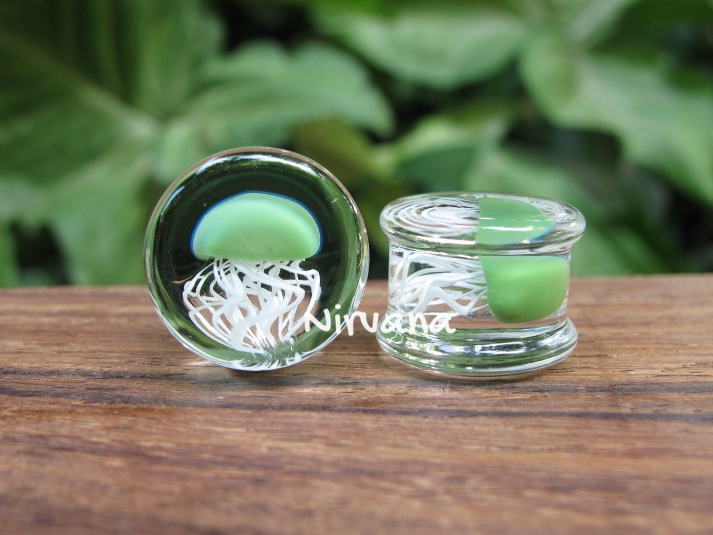 1 Pair (2 Pieces) Jade Pyrex Glass Jellyfish Plugs Clear Background