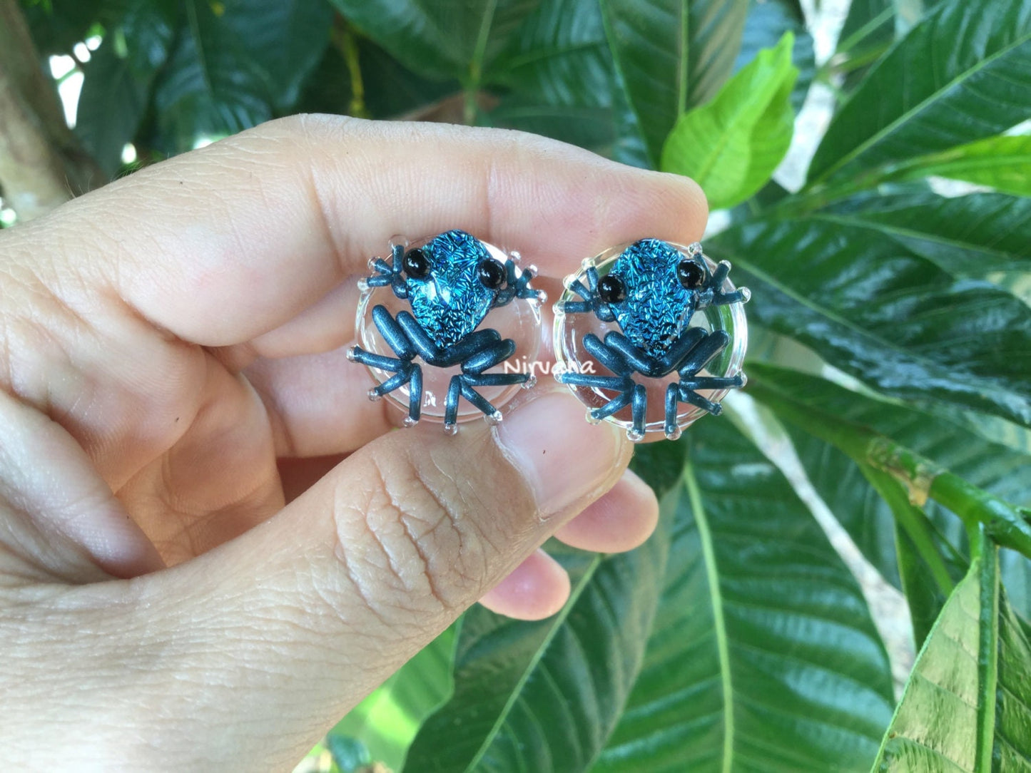 1 Pair (2 Pieces) Dichroic Solid Aqua Blue Poison Tree Frog Plugs